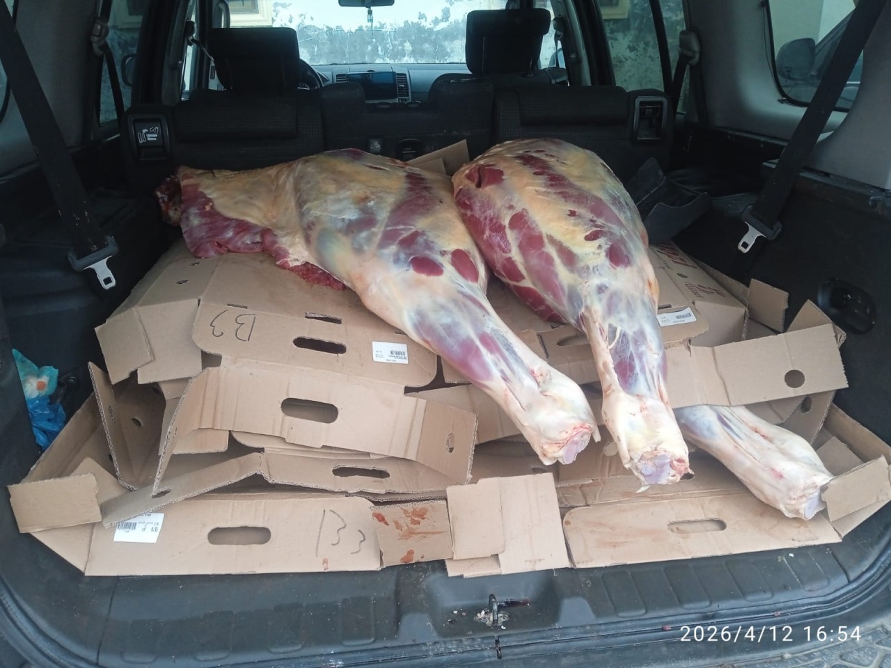 Bakıya gətirilən 227 kq at əti müsadirə olundu - FOTOLAR